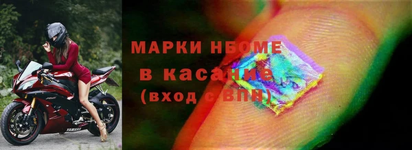 индика Баксан