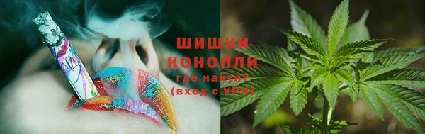 индика Баксан