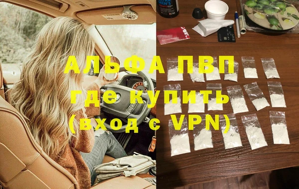 индика Баксан