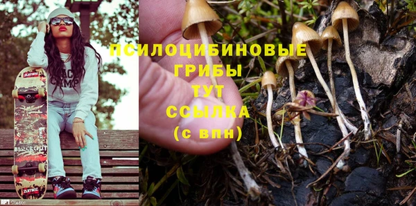 индика Баксан