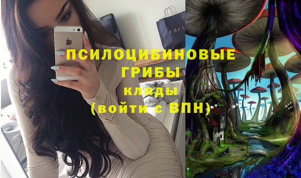 метадон Аркадак